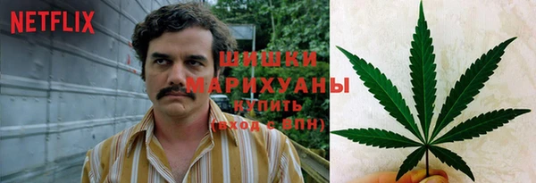 ешки Арсеньев