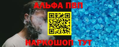 крисы Кингисепп