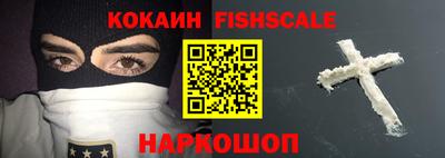 крисы Кингисепп