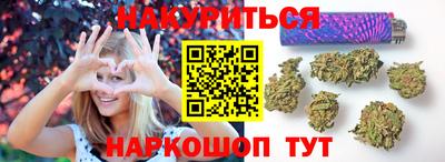 крисы Кингисепп