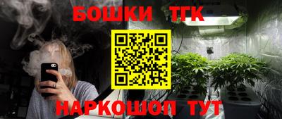 крисы Кингисепп