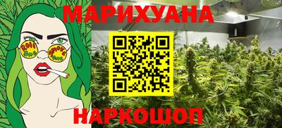 крисы Кингисепп