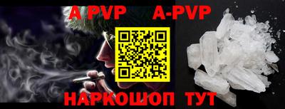 крисы Кингисепп