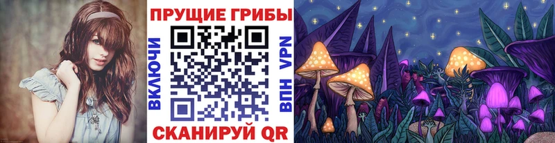 Псилоцибиновые грибы прущие грибы  Кызыл 
