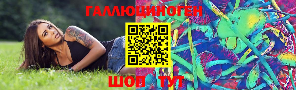 Псилоцибиновые грибы Psilocybe  Вход с VPN  Кызыл 